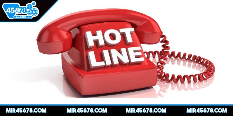 lien-he-45678-lien-he